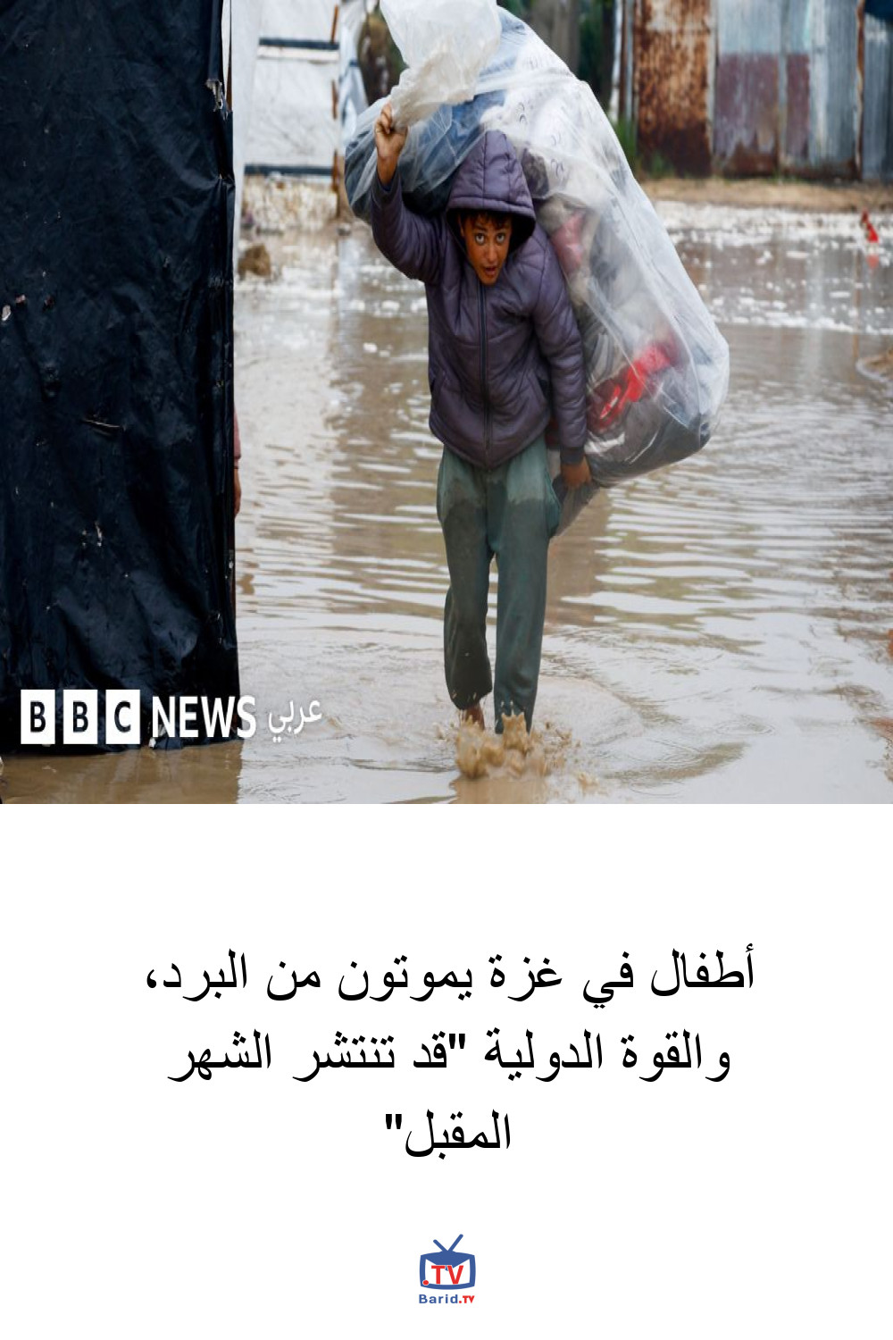 أطفال في غزة يموتون من البرد، والقوة الدولية "قد تنتشر الشهر المقبل" 4 Pinterest Hidden