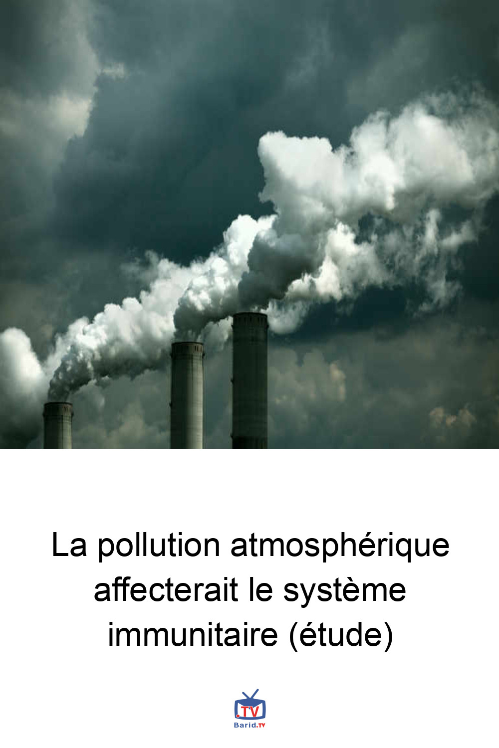 La pollution atmosphérique affecterait le système immunitaire (étude) 4 Pinterest Hidden