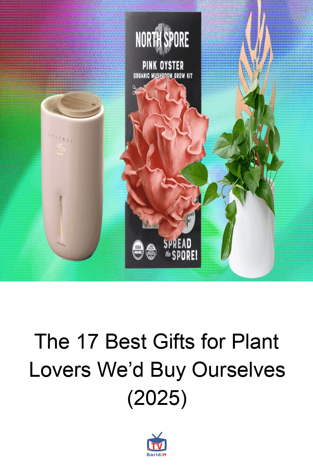 The 17 Best Gifts for Plant Lovers We’d Buy Ourselves (2025) 4 Pinterest Hidden