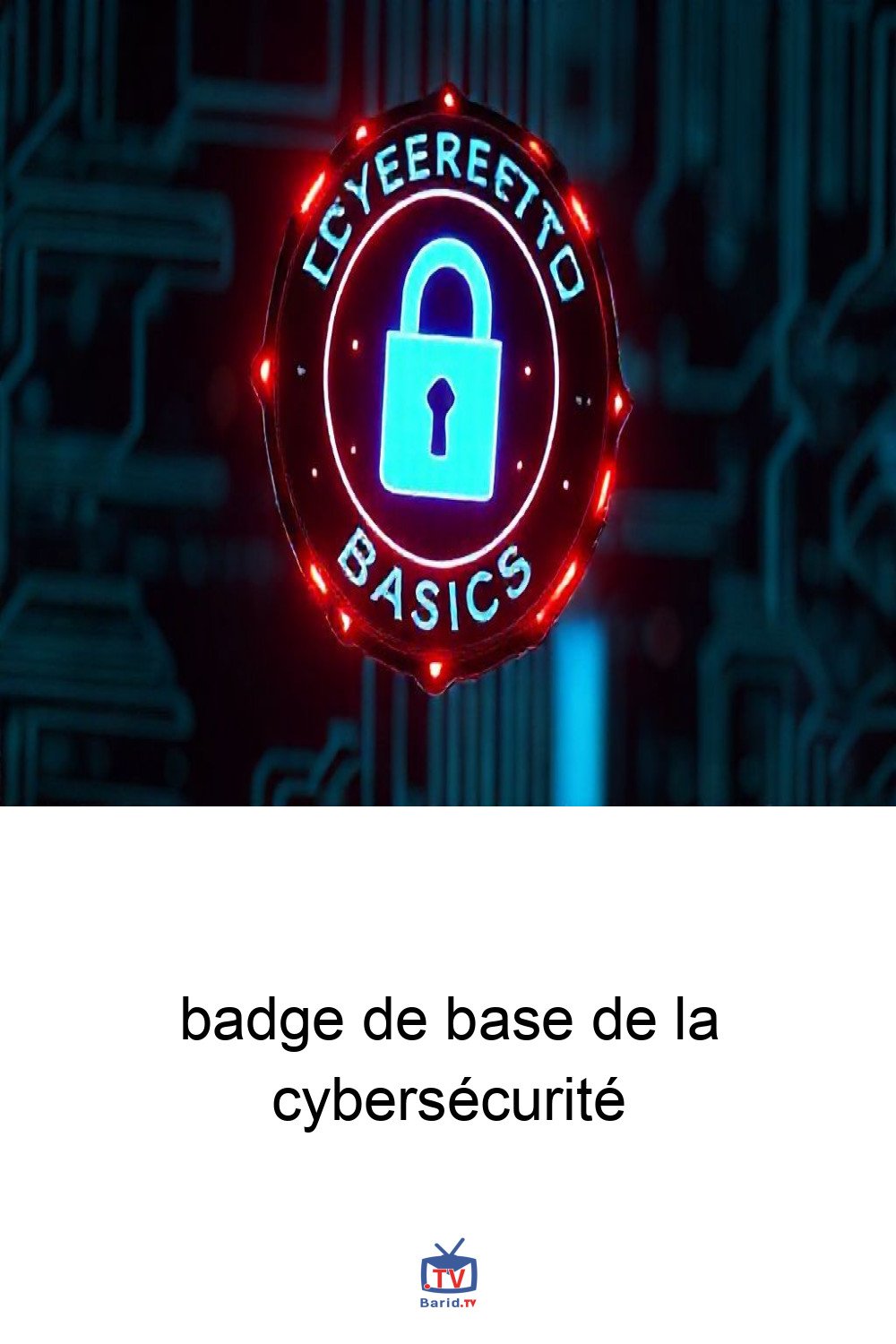 badge de base de la cybersécurité 4 Pinterest Hidden