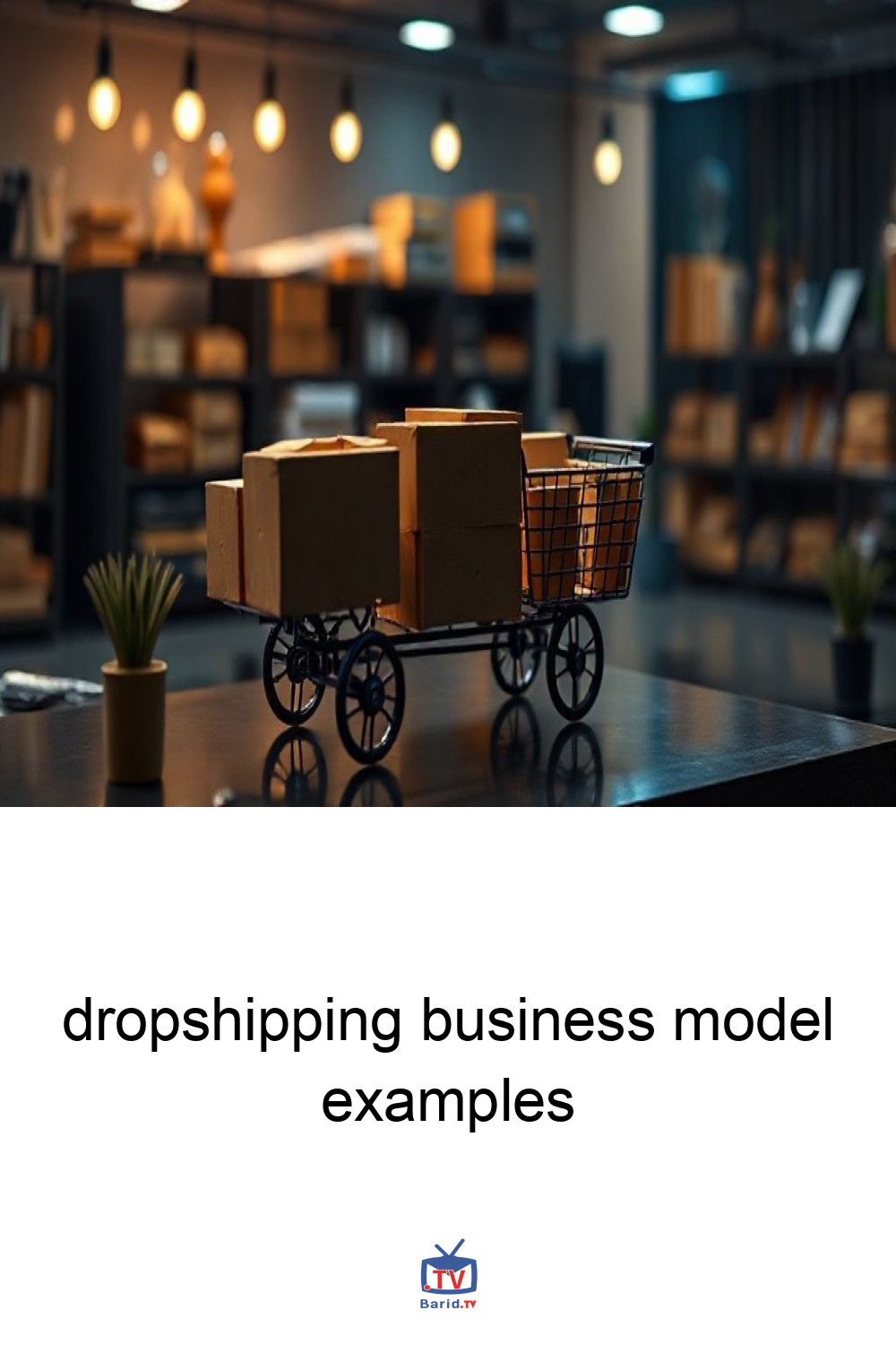dropshipping business model examples 4 Pinterest Hidden