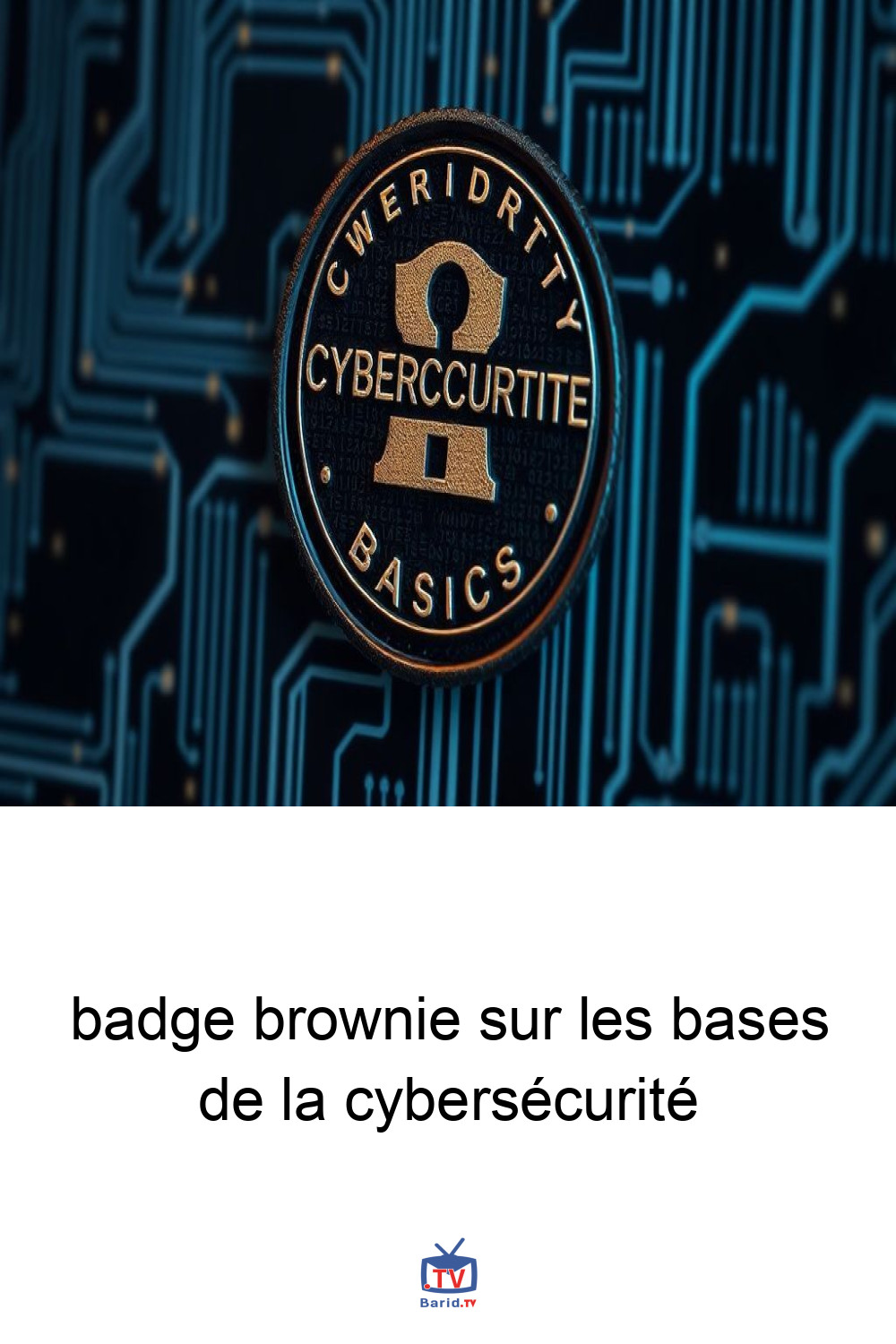 badge brownie sur les bases de la cybersécurité 4 Pinterest Hidden