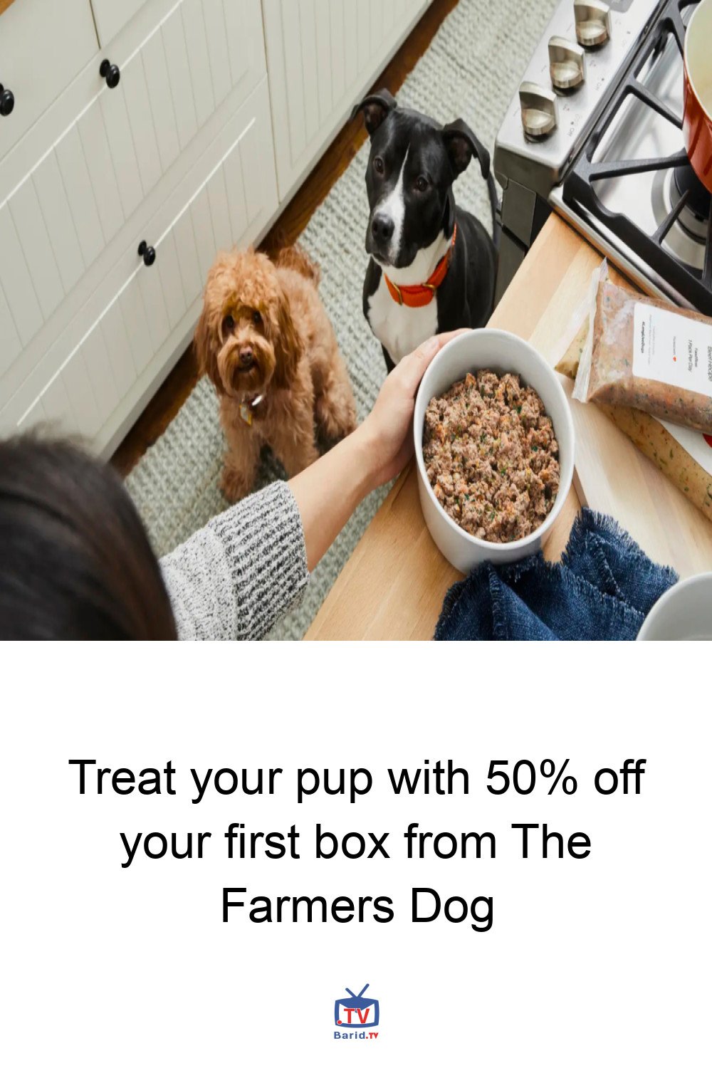Treat your pup with 50% off your first box from The Farmers Dog 4 Pinterest Hidden