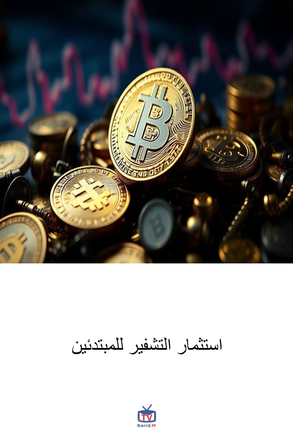 استثمار التشفير للمبتدئين 4 Pinterest Hidden