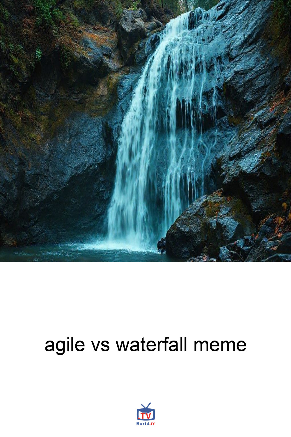 agile vs waterfall meme 4 Pinterest Hidden