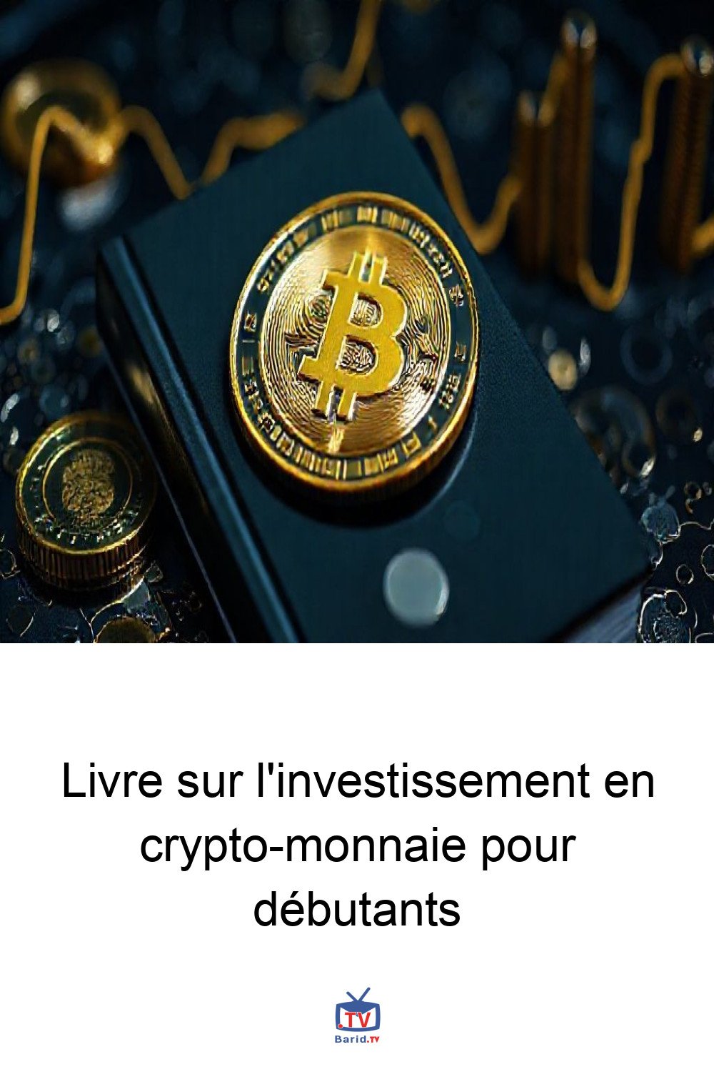 Livre sur l'investissement en crypto-monnaie pour débutants 4 Pinterest Hidden