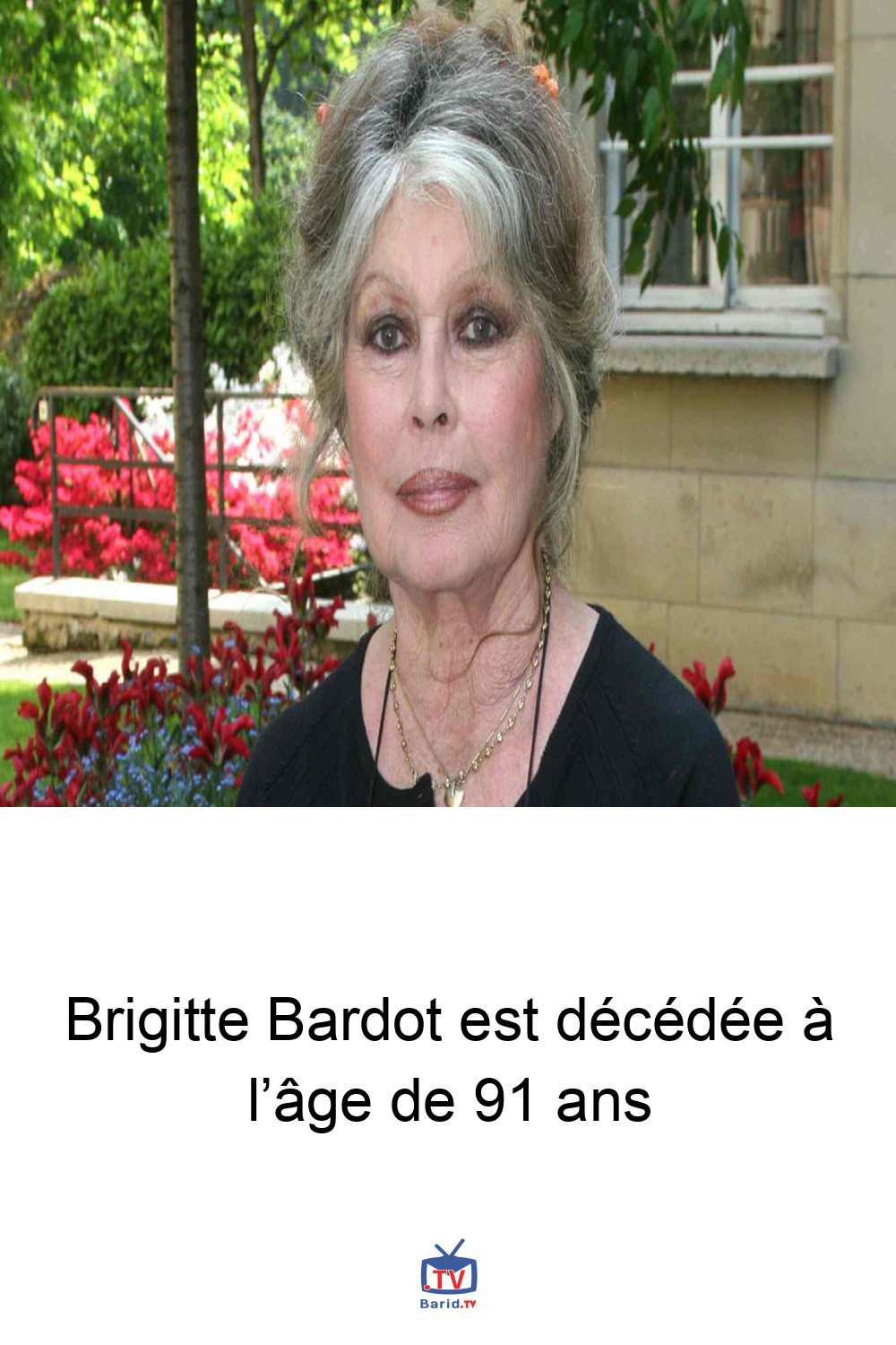 Brigitte Bardot est décédée à l’âge de 91 ans 4 Pinterest Hidden