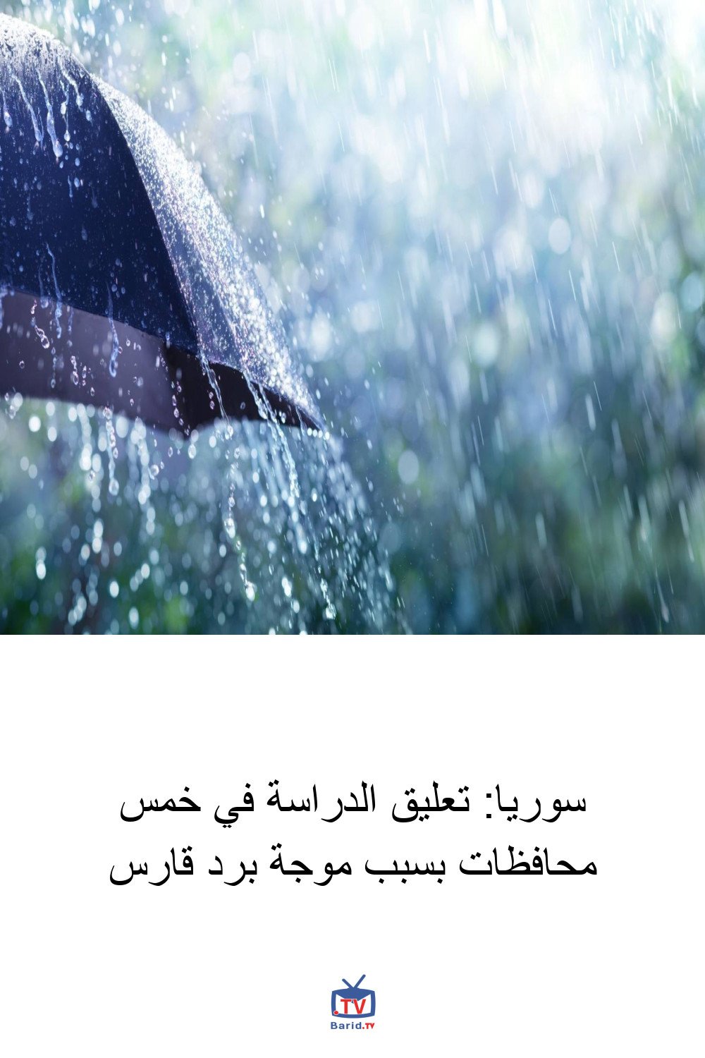 سوريا: تعليق الدراسة في خمس محافظات بسبب موجة برد قارس 4 Pinterest Hidden