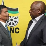 صورة تعكس مفهوم الضوء الأخضر في SEO و Readability.