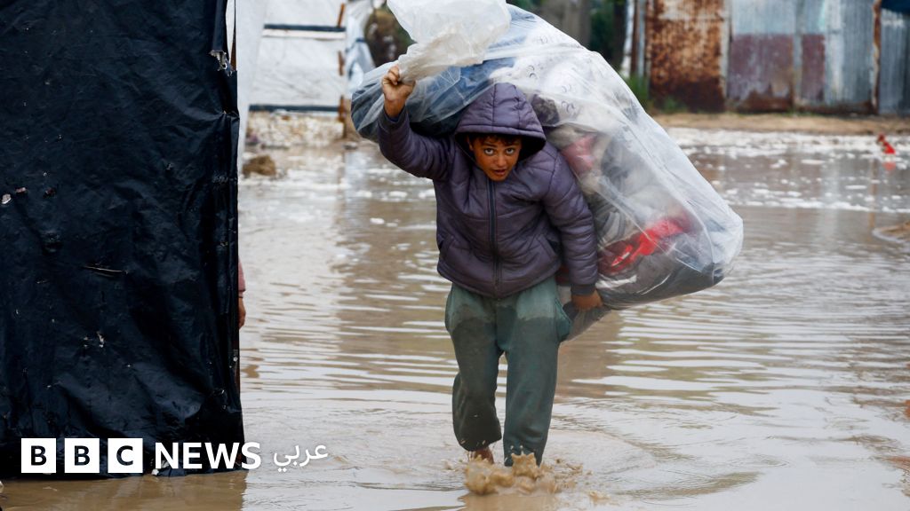 أطفال في غزة يموتون من البرد، والقوة الدولية "قد تنتشر الشهر المقبل" 3 صورة لشخص يضغط على لوحة المفاتيح مع خلفية لشبكة الإنترنت