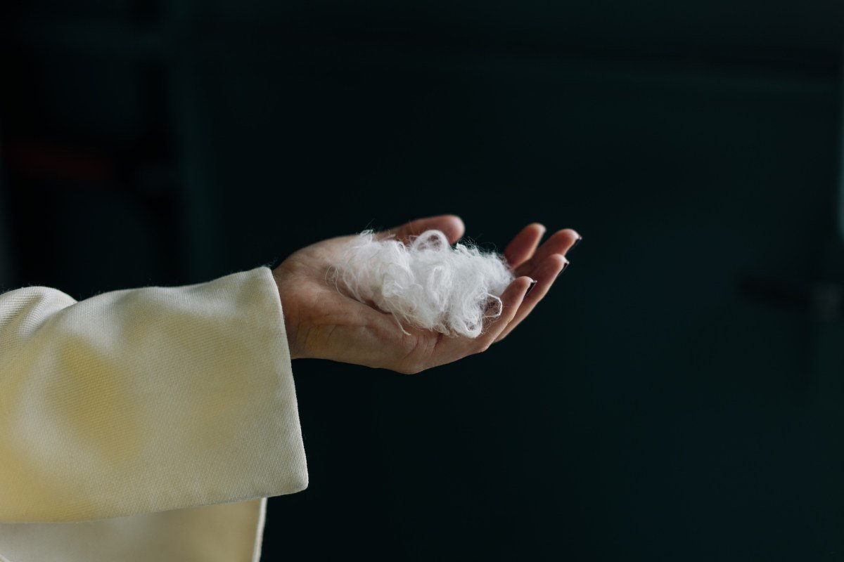 Alt text for the image: Everbloom's sustainable fashion technology transforms waste into new fiber.