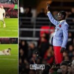 Algerian player Mohamed Amoura mocking DR Congo's iconic 'statue fan' Michel Kuka Mboladinga during AFCON 2025