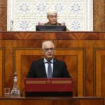 Champs verdoyants au Maroc après des pluies abondantes, symbolisant le renouveau agricole.