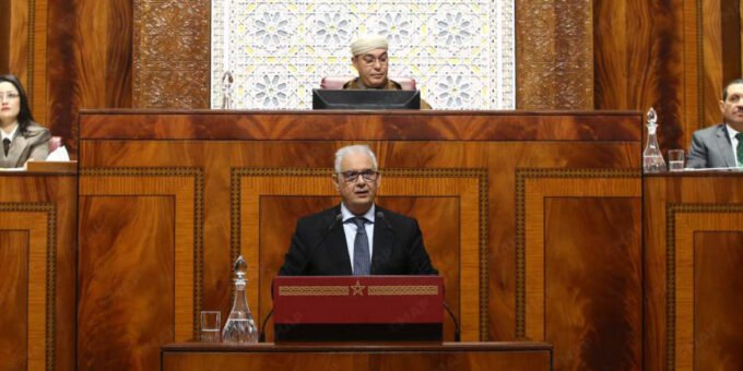 Champs verdoyants au Maroc après des pluies abondantes, symbolisant le renouveau agricole.