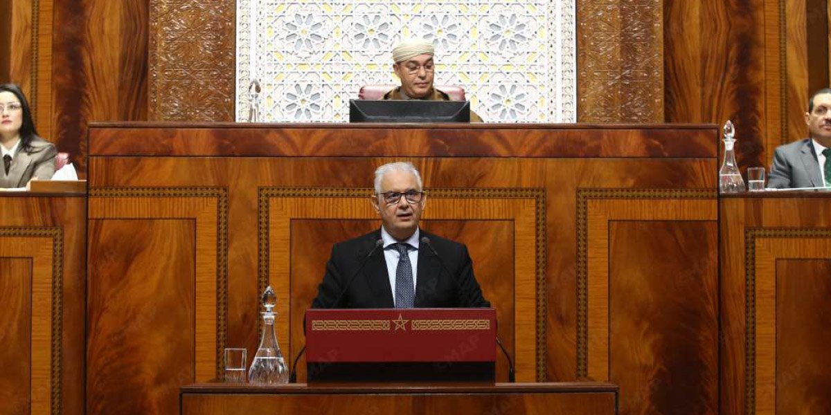 Champs verdoyants au Maroc après des pluies abondantes, symbolisant le renouveau agricole.