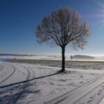 Carte météorologique du Maroc affichant des zones de pluies importantes sur le Rif et le Tangérois, des nuages et faibles pluies sur l'Atlas et le Centre, ainsi que des rafales de vent attendues pour le jeudi 29 janvier 2026.
