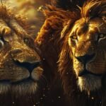 Atlas Lions 1976 AFCON title complete guide