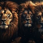 Atlas Lions 1976 AFCON title complete guide