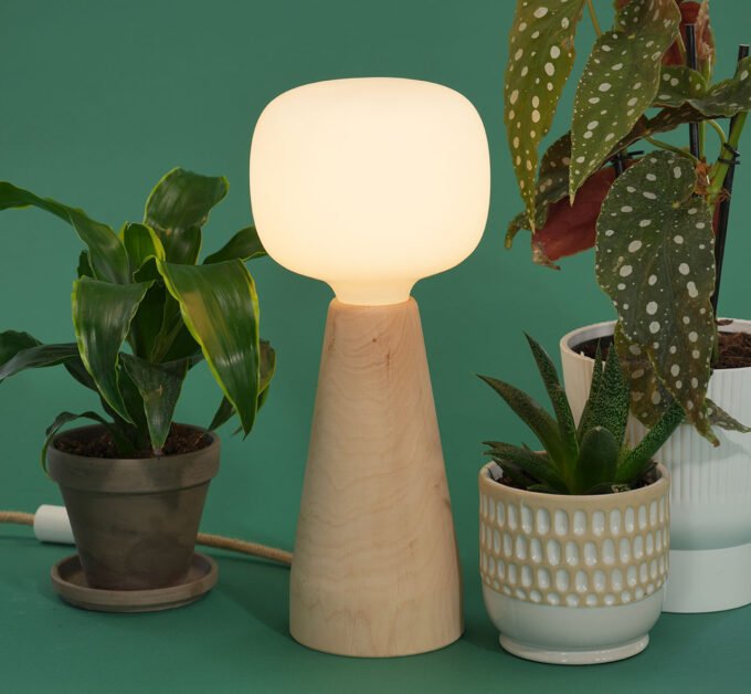The Soltech Aura Ambient Grow Light featuring a conical wooden base and a rounded, bulb-form head, illuminating an indoor plant.