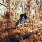 Album art for Billy Woods' 'Golliwog' album, featuring dark, abstract imagery.