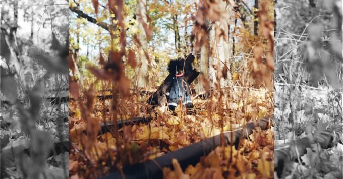 Album art for Billy Woods' 'Golliwog' album, featuring dark, abstract imagery.