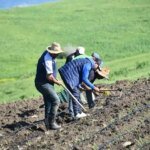 Image de la campagne agricole