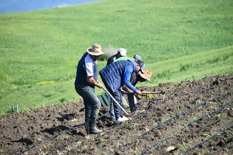 Image de la campagne agricole