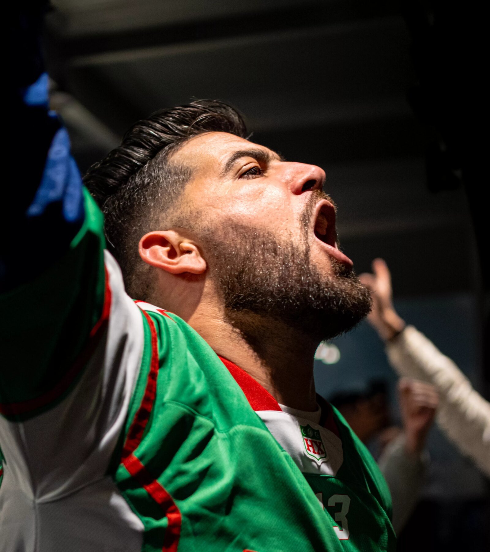 Image de l'après-match entre l'Algérie et le Nigéria