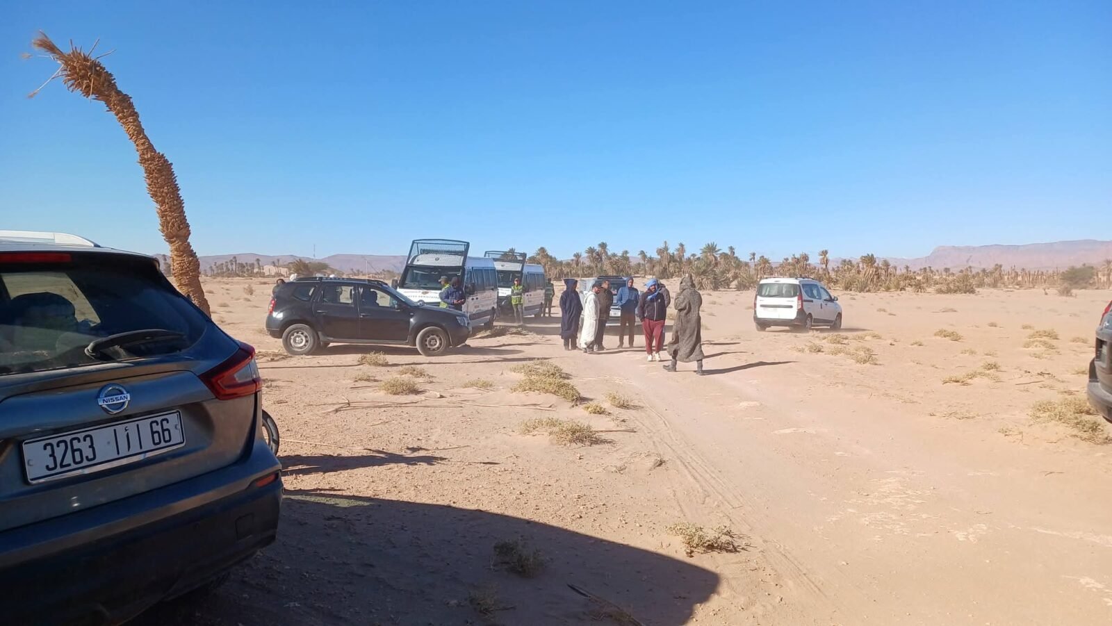 صورة جوية لحقول بطيخ مدمرة في منطقة قاحلة بإقليم طاطا، تظهر آثار الجفاف وتدخل السلطات.