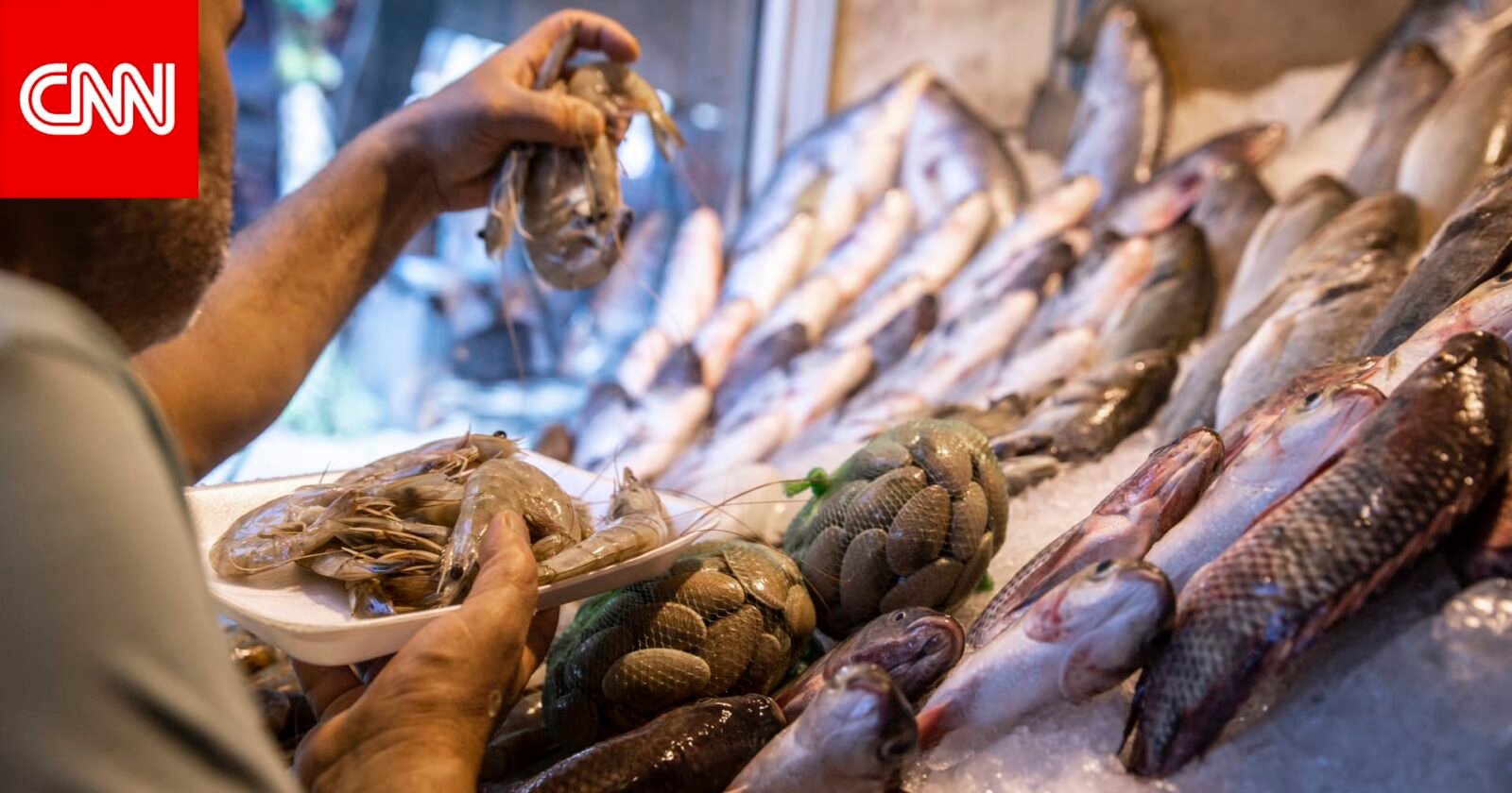 صورة أرشيفية لأسماك معروضة للبيع في سوق بمصر