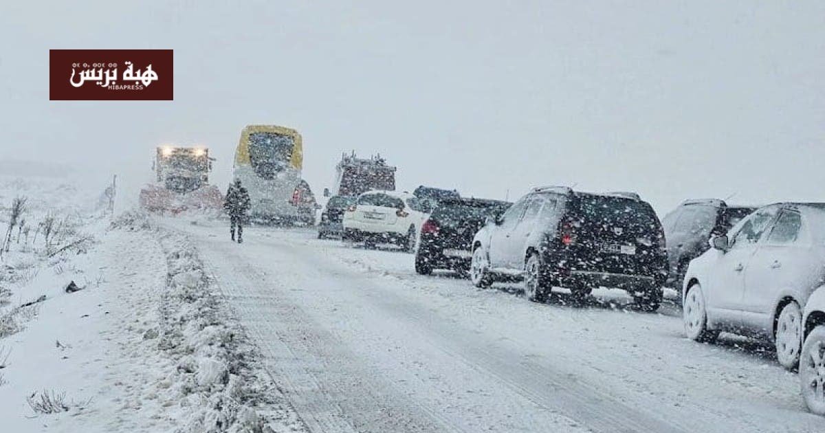إفران: بين سحر الطبيعة وتحديات الاكتظاظ السياحي 3 صورة بانورامية لمدينة إفران المغربية تظهر جمالها الطبيعي وتحديات الاكتظاظ السياحي.