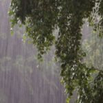 صورة أرشيفية لأمطار غزيرة ورياح قوية في الأردن، تظهر سماء ملبدة بالغيوم وأجواء عاصفة.