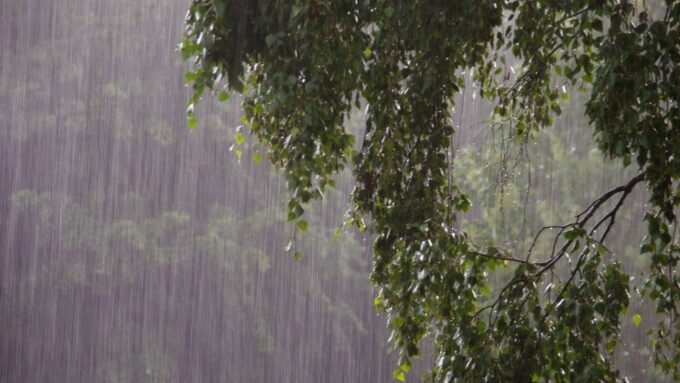 صورة أرشيفية لأمطار غزيرة ورياح قوية في الأردن، تظهر سماء ملبدة بالغيوم وأجواء عاصفة.