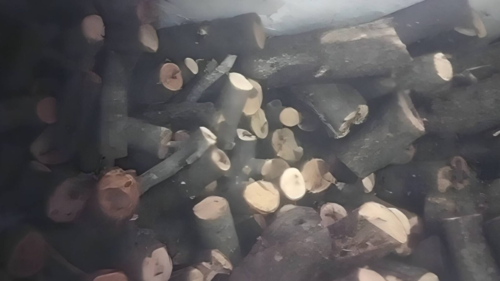 كميات من الحطب المضبوط داخل مستودع سري في عجلون، الأردن