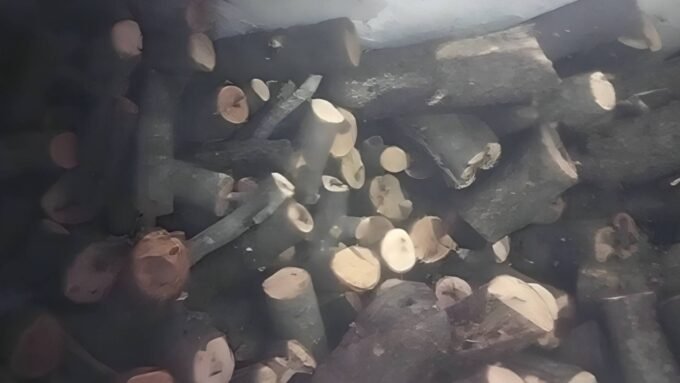 كميات من الحطب المضبوط داخل مستودع سري في عجلون، الأردن