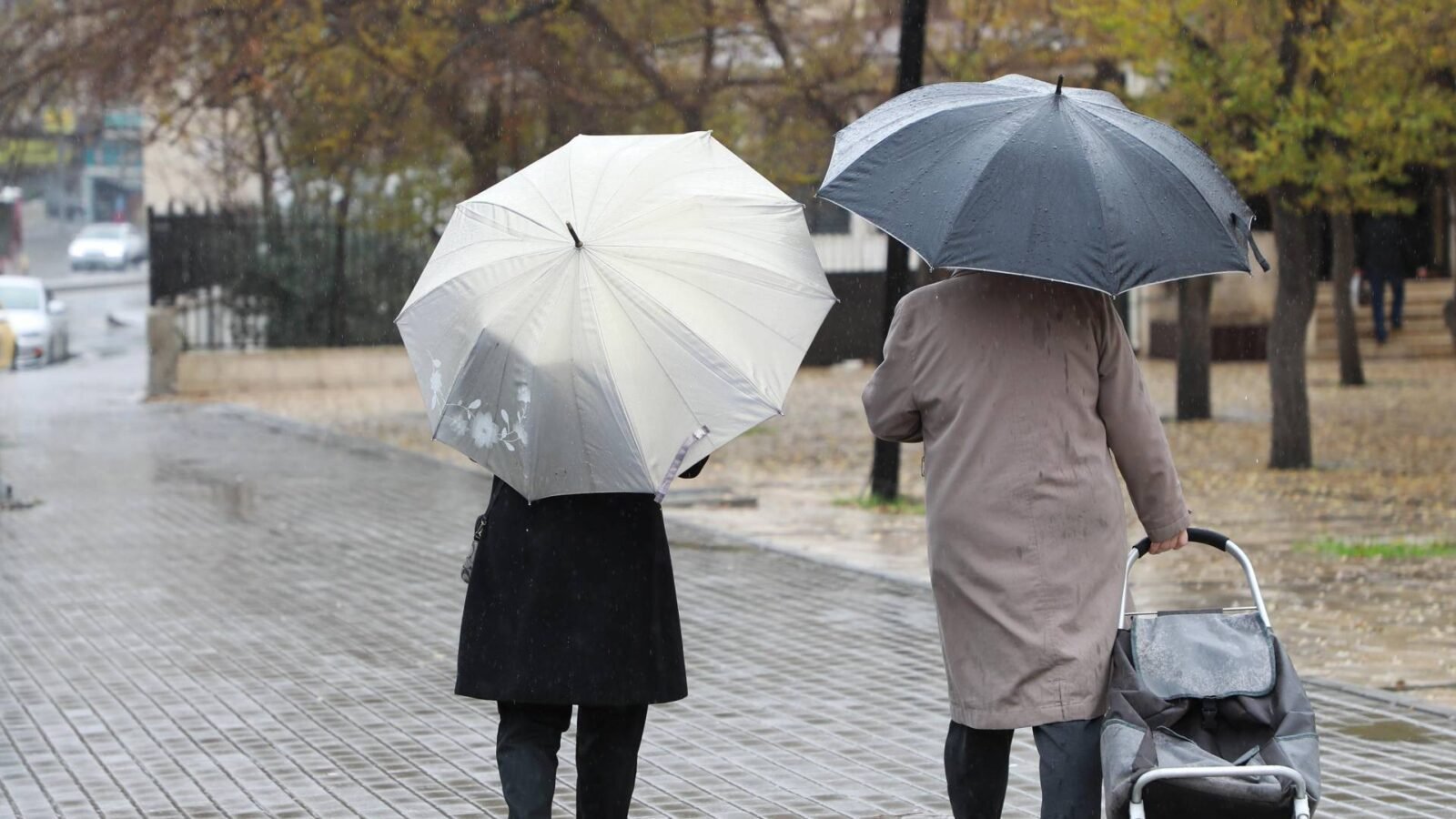 أمطار غزيرة تهطل على العاصمة الأردنية عمان