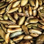 صورة توضيحية لحمض الليوسين وأطعمة غنية بالبروتين تدعم صحة العضلات