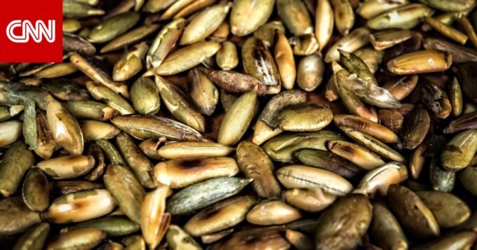 صورة توضيحية لحمض الليوسين وأطعمة غنية بالبروتين تدعم صحة العضلات