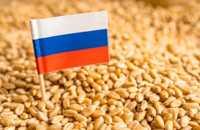 حقول قمح ذهبية واسعة تحت سماء زرقاء صافية، ترمز إلى الإنتاج الزراعي الوفير في روسيا.