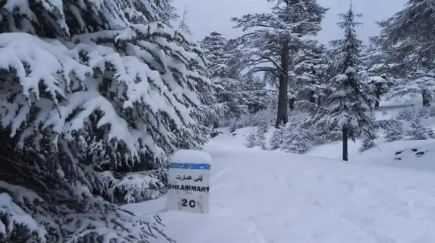 صورة بانورامية لمرتفعات الأطلس المغربية المغطاة بالثلوج مع سماء غائمة