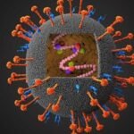 صورة توضيحية لفيروس نيباه أو فريق طبي يتعامل مع حالات عدوى فيروسية