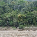 صورة تعبيرية لقبيلة أمازونية معزولة وسط الغابات المطيرة.