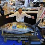 سمكة تونة زرقاء الزعانف ضخمة تباع في مزاد طوكيو بسعر قياسي