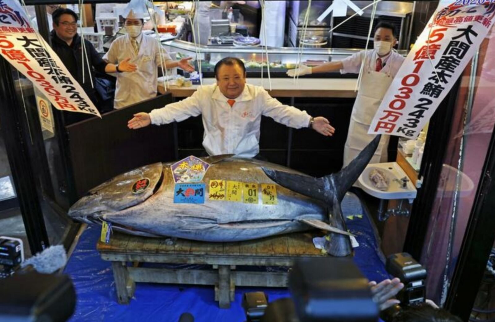 سمكة تونة زرقاء الزعانف ضخمة تباع في مزاد طوكيو بسعر قياسي