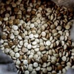 مكافحة المخدرات، لبنان، السعودية، معمل الكبتاغون