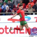 صورة نائل العيناوي لاعب المنتخب المغربي في وسط الملعب