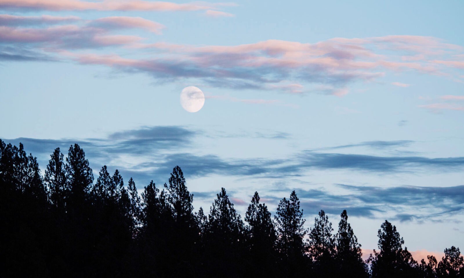 Illustration of a glowing full moon in the night sky, subtly incorporating elements of water or a crab to symbolize the Cancer zodiac sign.