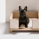 Giobagnara Oscar Dog Bed and Bowls, luxury leather and oak pet furniture for a stylish home.
