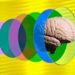 A human hand interacting with a digital interface displaying AI-generated data, symbolizing the critical role of human intuition in AI-driven decision-making.