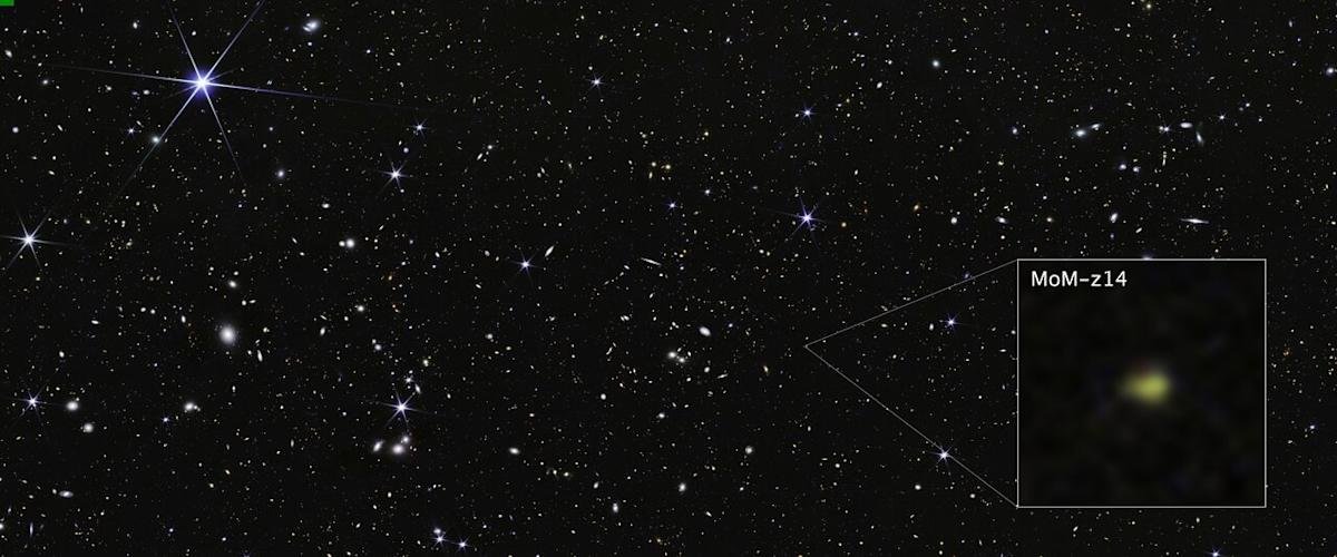 NIRCam image of the MoM-z14 galaxy in the COSMOS Field, captured by the James Webb Space Telescope.